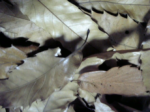 06-12-26_18-08.jpg